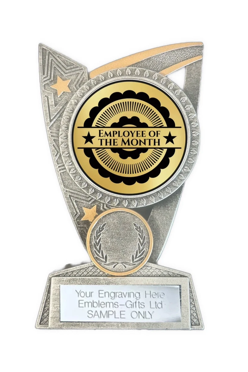 Buy 12 Pcs Employee Of The Month Lapel Pin 3/4 Inch Employee Enamel Pin