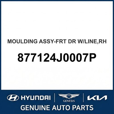 2006-2014 Kia Sedona Zierleiste Baugruppe - FRT DR W/LINE OEM Neu 877124J0007P