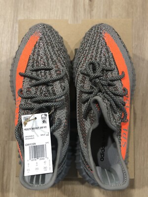 yeezy beluga 8.5