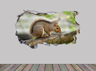 Wand Smash niedliches Eichhörnchen selbstklebend Wandaufkleber Aufkleber Druck gedruckt Grafik