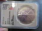 1991 Eagle S$1 MS70 NGC #6585820-194