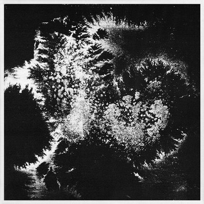 Vera Dvale & Psykovarius - Udu (Vinyl LP - 2017 - NO - Original)