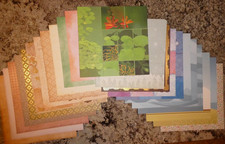  7 100 Sheets 12x12 Mixed Stripe Floral Pictures  MORE Scrapbook Paper Cardstoc