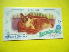 Siamese - 2014 Topps Allen & Ginter trading card #LL-04 - Little Lions