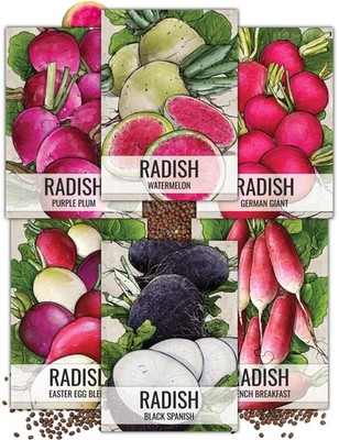 Seed Needs, Multicolor Radish Packet Collection (6 Individual Multiple 
