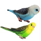 Bild 8 von 12