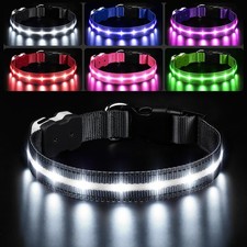 Light Up Dog Collars Led Dog Collar Rechargeable Night Walking Waterproof Glo...