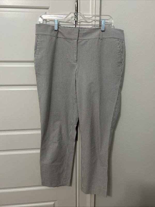 Ann Taylor Ankle Pants 10