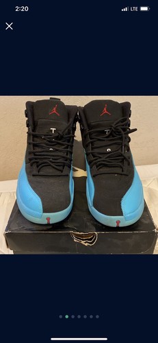 jordan 12 gamma blue size 10
