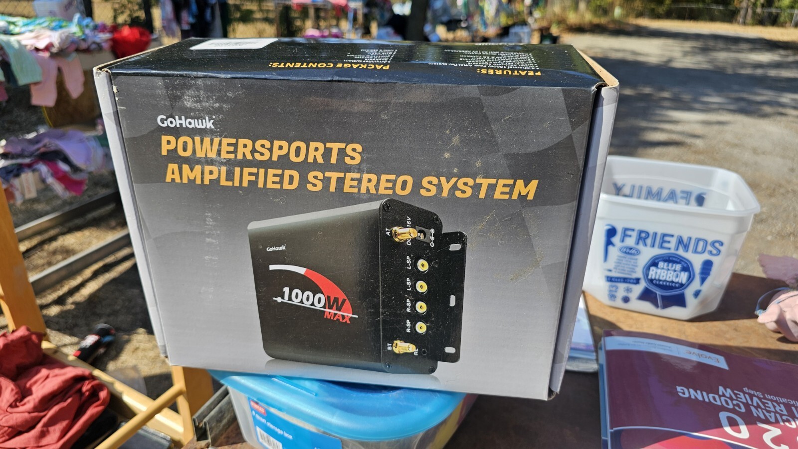 Amplified Stereo System