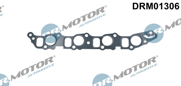 Fits DR MOTOR PRZEWODY PRZELEWOWE DRM01306 INTAKE MANIFOLD GASKET Fiat/Opel