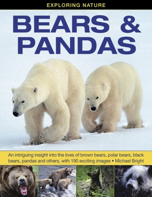 Exploring Nature: Bears & Pandas by Michael Bright (Hardback Book)