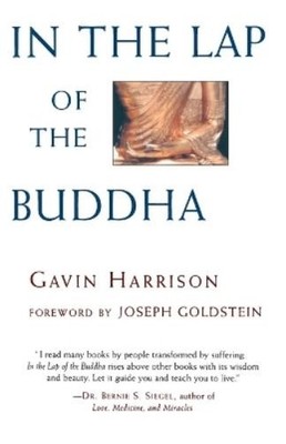 Gavin Harrison In the Lap of the Buddha (Taschenbuch)