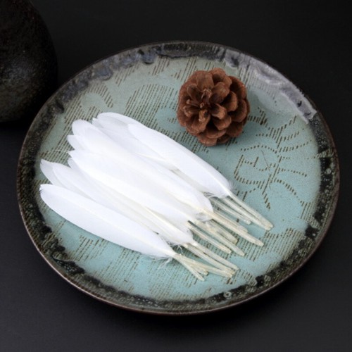 100pcs Straight Goose Feather Craft DIY Hat Performance Costume Stage Material - Picture 7 of 18