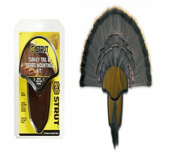 Hunters Specialties Turkey Fan Tail and Beard Mount Kit 00849 for sale