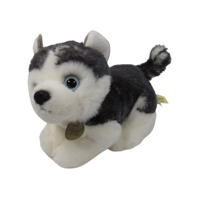 miyoni tots husky