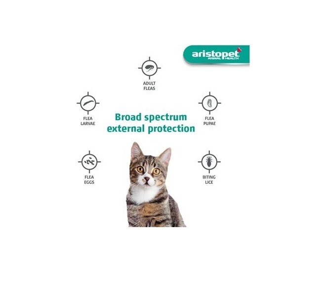 Aristopet Complete Flea & Lice Treatment for Cats & Kittens 3 Pack