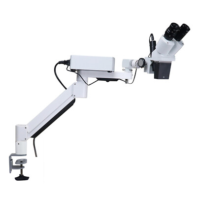 Desktop 10X Dental Stereo Binocular Microscope Surgical Root Canal Microscopes