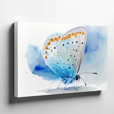 Canvas Wall Art a Watercolor Butterfly in Soft Icy Blue Tones with Orange and