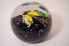 Wonderful Signed Mayauel Ward 2018 Yellow/White Butterfly Art Glass Paperweight — photo 3