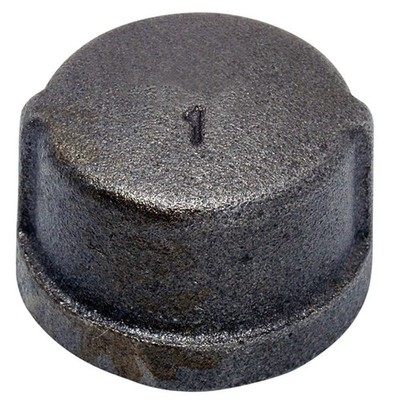 PPG 55825 for PlumbMaster Black Iron Cap,1-1/4 Fip