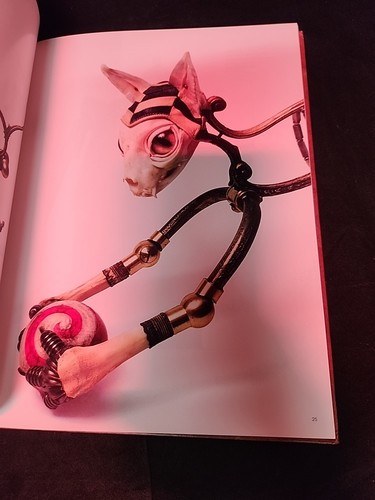 Strange Nature Book By Jessica Joslin - Picture 11 of 12