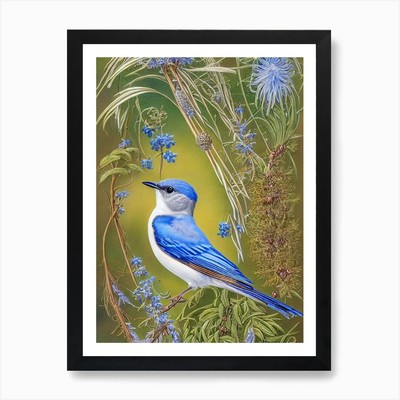 Bluebird Haeckel Stil Vintage Illu gerahmtes Wandbild Poster Leinwanddruck Bild