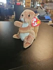 Ty Beanie Baby Nuts the Squirrel Vintage 1996 Retired Mint Condition With Tags