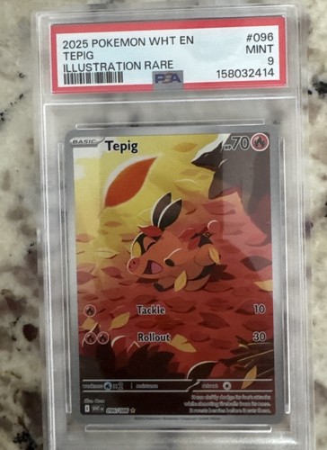 Tepig graded PSA 9 for sale on eBay
