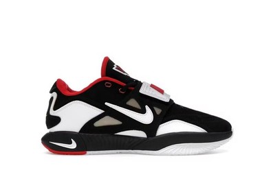 Size 11 - Nike LeBron 21 Prime 93