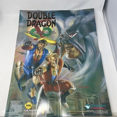 Double Dragon V The Shadow Falls 5 NFL 94-95 Schedule Super Nintendo SNES Poster