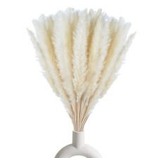 30 Pcs White Pampas Grass ,17 inch/45 cm Natural Dried Pampas Grass Branches ...