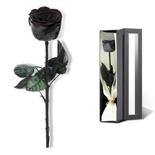 Black Preserved Single Rose Flower Gifts Women Girlfriend Valentines Birthday