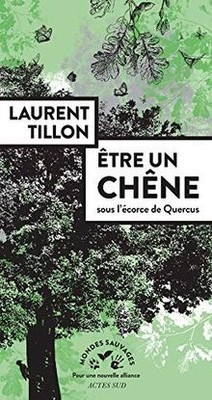Être un chêne: sous lécorce de Quercus  von Tillon... | Buch | Zustand sehr gut