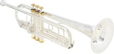 Eastman ETR520GS Intermediate Bb Trumpet - 24k Gold Plated Trim - Silver Plated