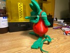 Picture 14 of 17