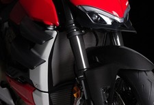 Gs Carbotech Carbon Fiber Fork Protectors - Ducati Streetfighter V2 22-24