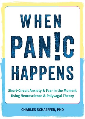 When Panic Happens  Anxiety and Fear in the Moment by Charles Schaeffer NEW!!