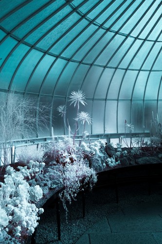 GLASS Infrared R72 Filter. 720nm for Fuji Fujifilm X mount APSC drop in style - Picture 5 of 7