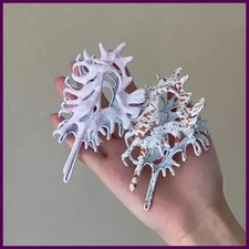 Ocean Metal Conch Hair Claw Clips for Women Colorful Shell Crab Hair Clip shell