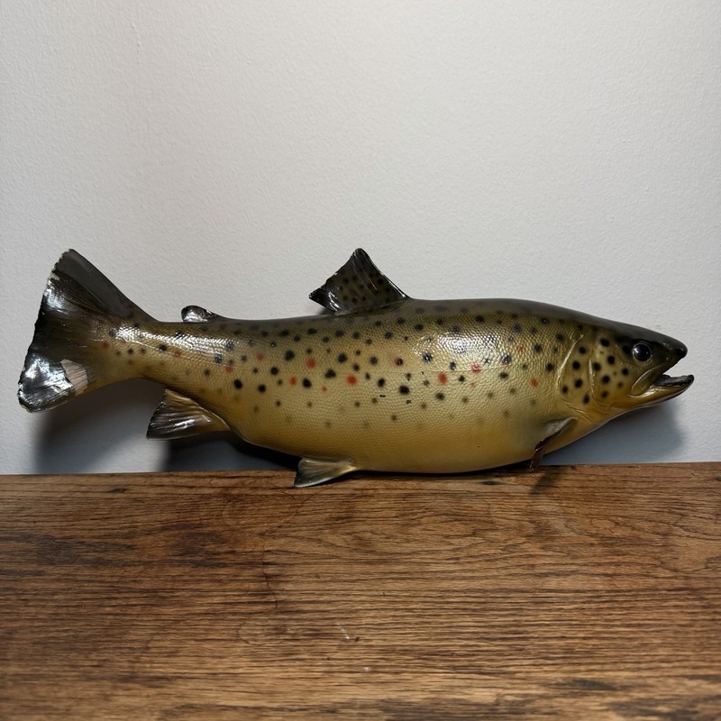 Vintage Brown Trout Taxidermy Replica? Mount Cabin Decor Man Cave ~17” Long