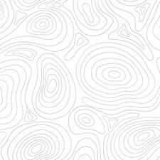 Blank Topography White with Gray 100 Cotton Quilt Fabric BTY