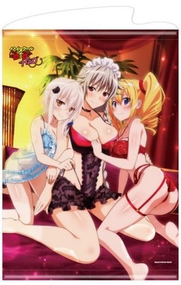 High School D×D Hero B2 Tapestry Vol.2 Koneko Grayfia Rayvel Harem Ver.