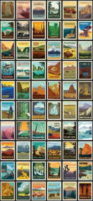 23.5'' X 44'' Panel National Parks USA Parks Travel Explorer Cotton Fabric D472.38
