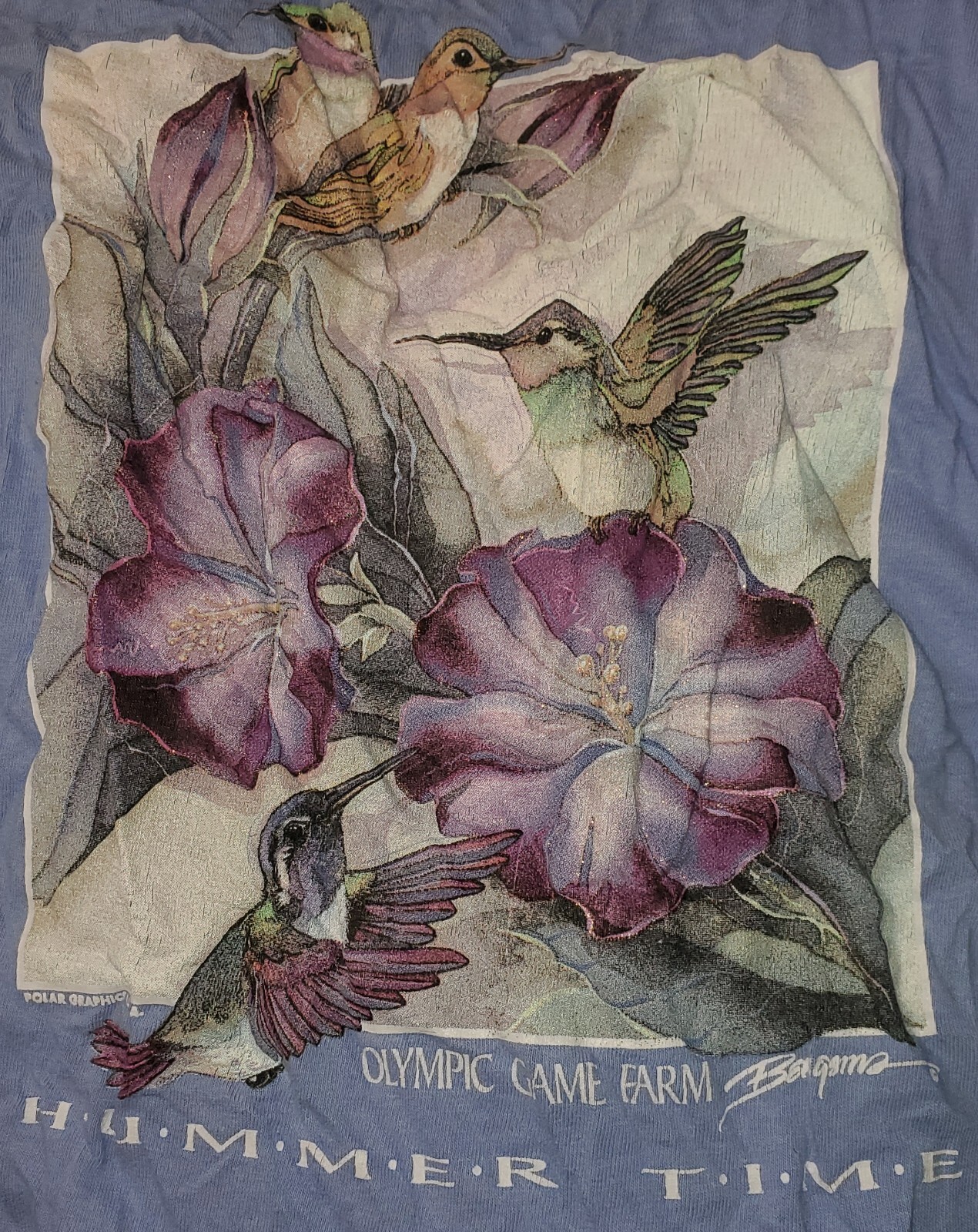 Vintage 90s Olympic Game Farm Hummingbird Bird USA Tee