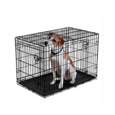 Double-Door Foldable Metal Wire Dog Crate with Divider, Small, 22"