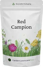 Red Campion Seeds – UK Native Wildflower - 20g Resealable Pouch – Ideal for 601.00 per kilo