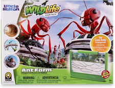 Ant Farm Antopia Rainforest Ant Habitat - Observe Live Ants - STEM -Nature Learn