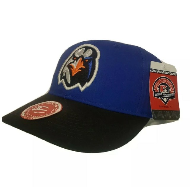 Aberdeen Ironbirds Minor League Baseball Cap Hat youth eBay