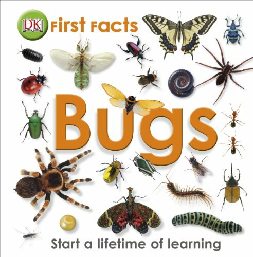 First Facts Bugs-DK